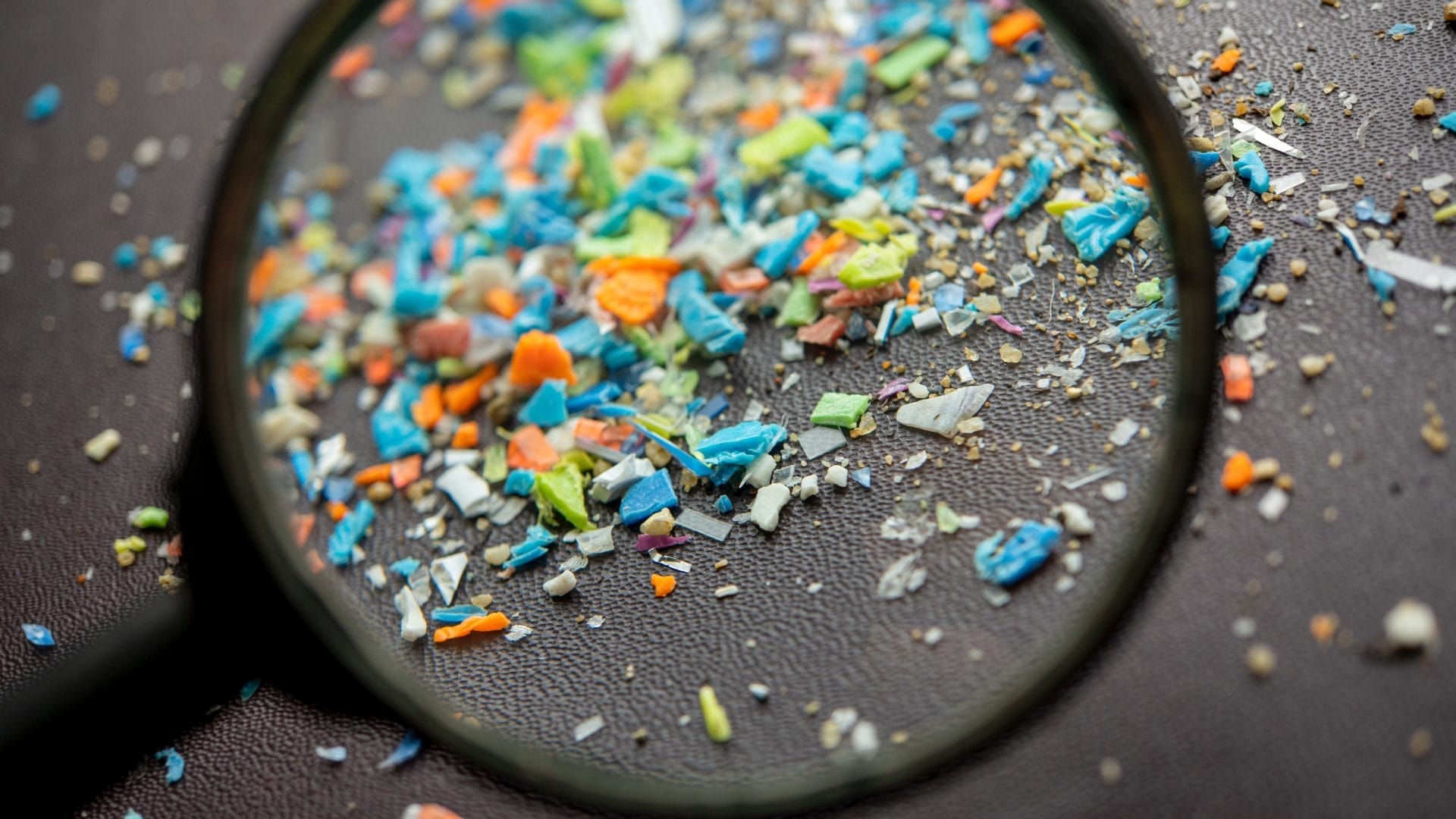Microplastics & Bone Health: The Hidden Risk We Can’t Ignore